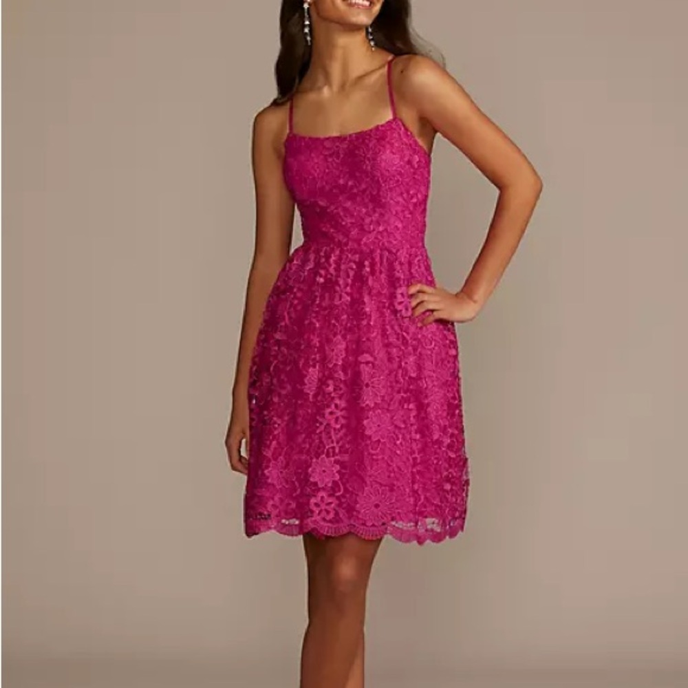 BNWT Foral Lace Mini A-Line Dress (size 18)